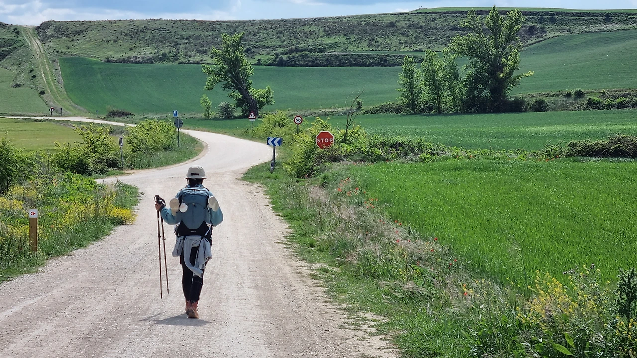 KakaoTalk_Photo_2023-09-17-16-43-28 005.jpeg