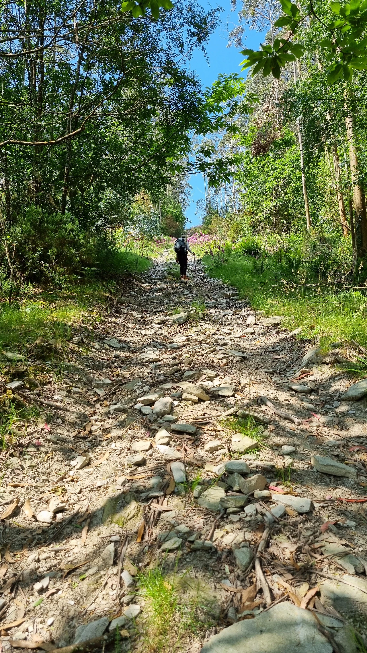 KakaoTalk_Photo_2023-09-17-16-43-31 007.jpeg