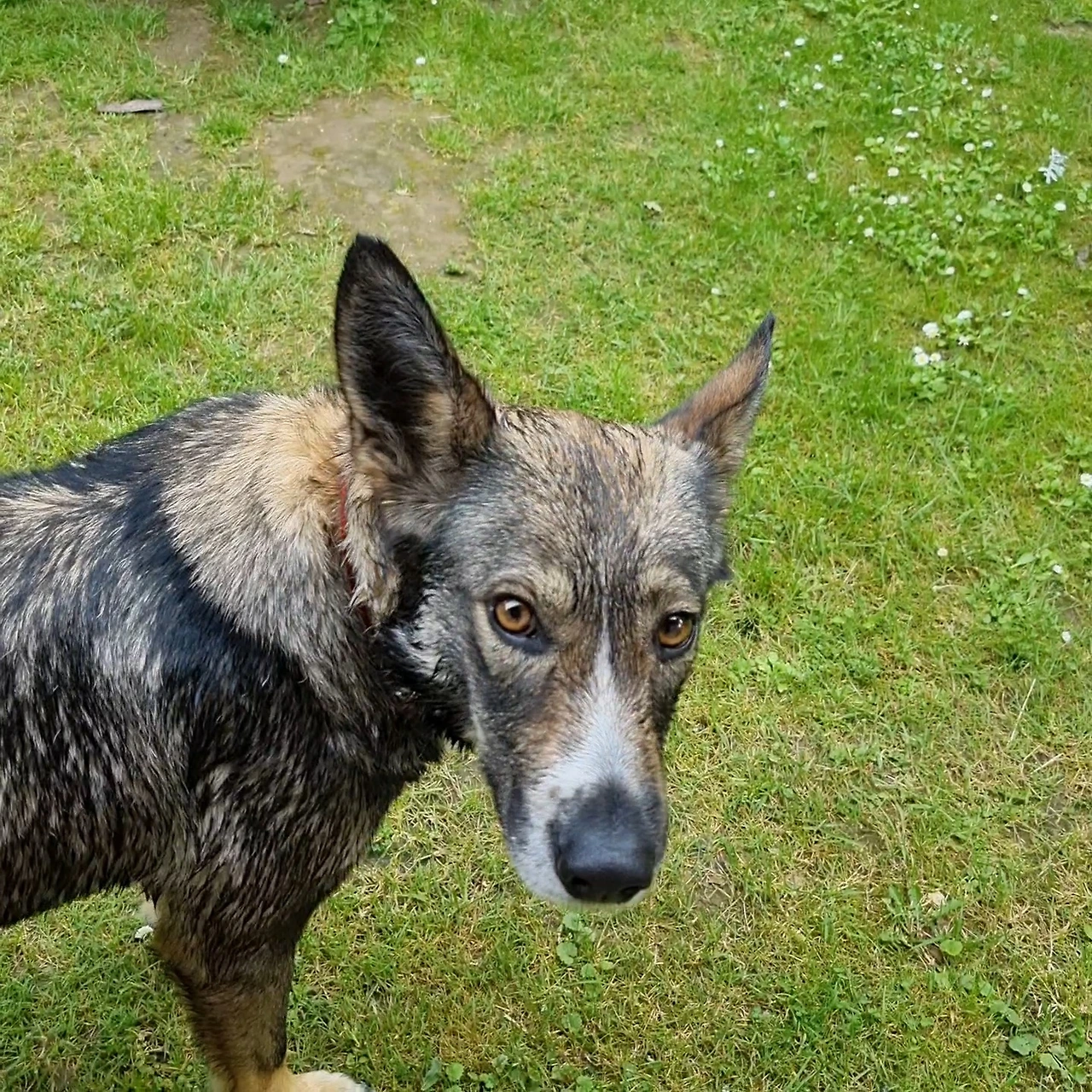 KakaoTalk_Photo_2023-10-07-13-32-21 001.jpeg