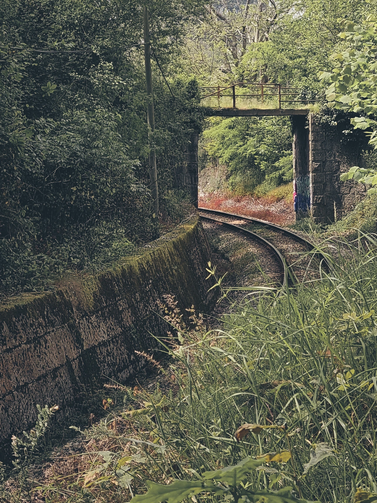 KakaoTalk_Photo_2023-10-07-13-32-23 003.jpeg