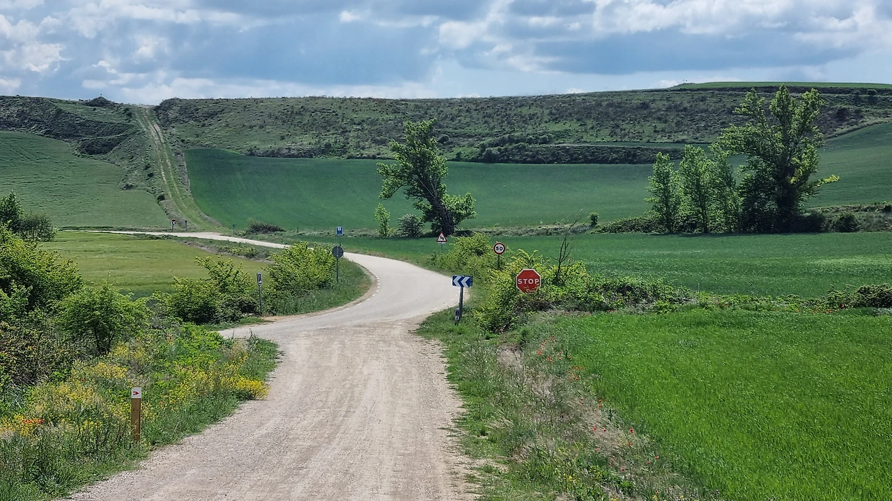 KakaoTalk_Photo_2023-09-17-16-43-26 004.jpeg