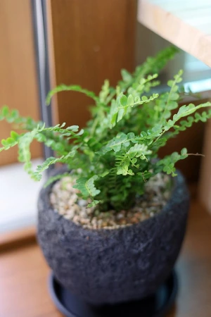 SE-58754329-d952-4547-9666-4aee22a9455d.jpg?type=w966