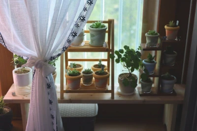 ReHo_KyreEnV1Lnim_Qse1o3gMQ