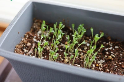 Lr4AxsQH2V5H6ukZpLG7LyPBLMc