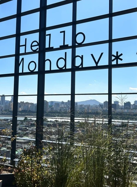 SE-6d8cdff2-f8af-4882-ace0-7c8444bbb69c.jpg?type=w466