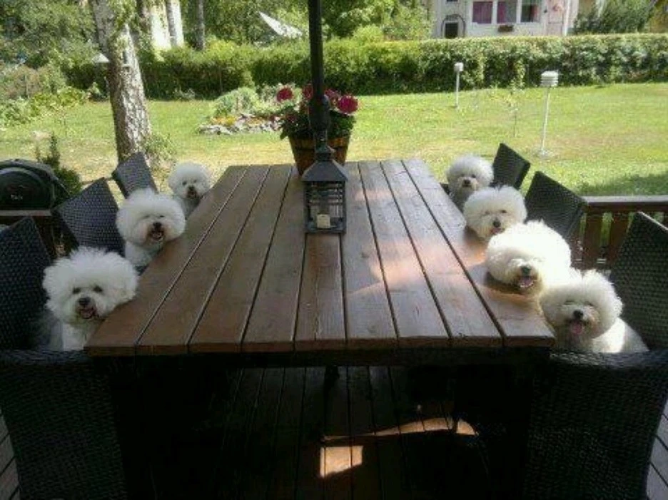 1346664985151.jpg?type=w1