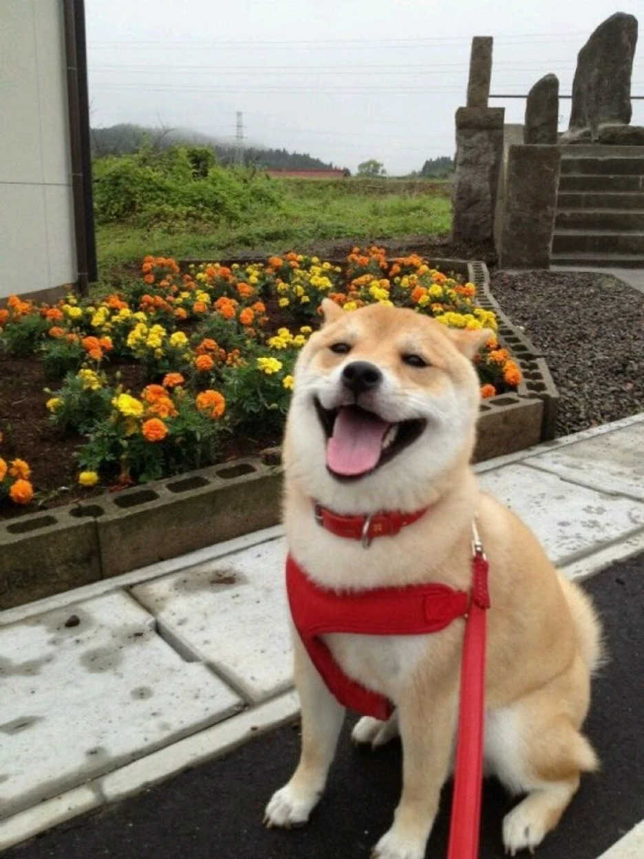 1346664998310.jpg?type=w1