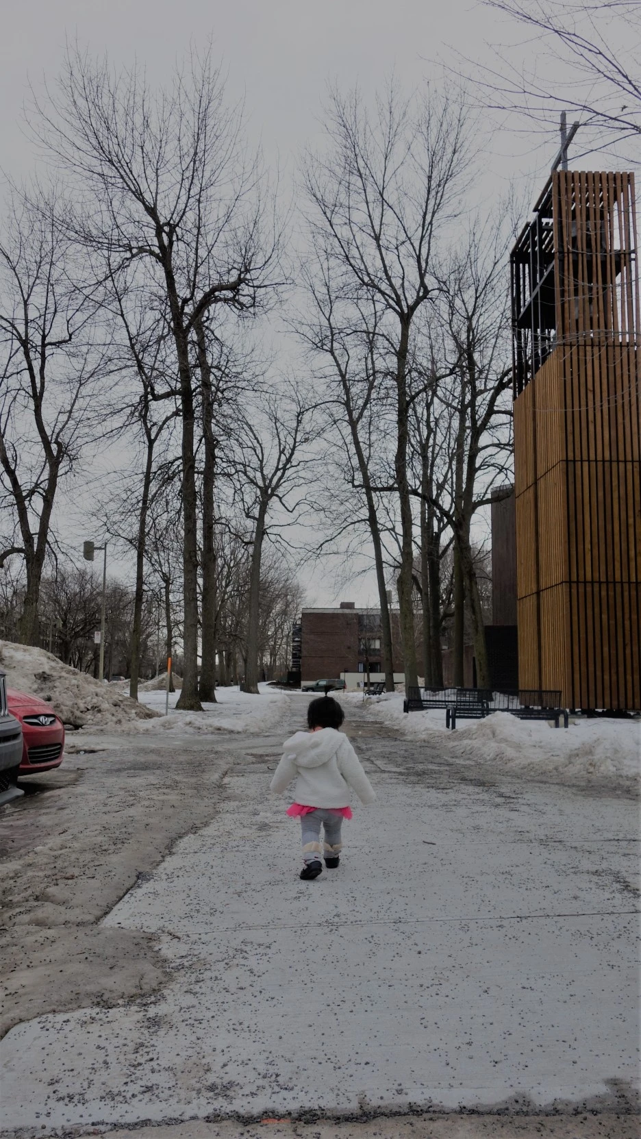 DSC02775.JPG?type=w1