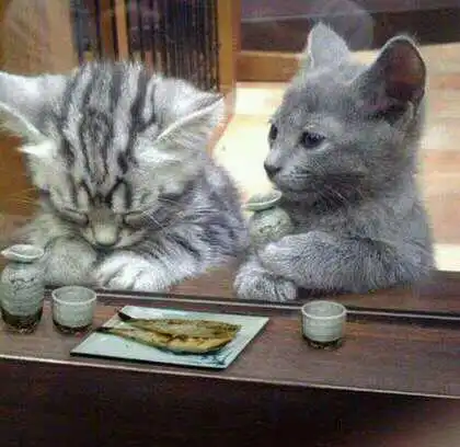 1333881391993.jpg?type=w1