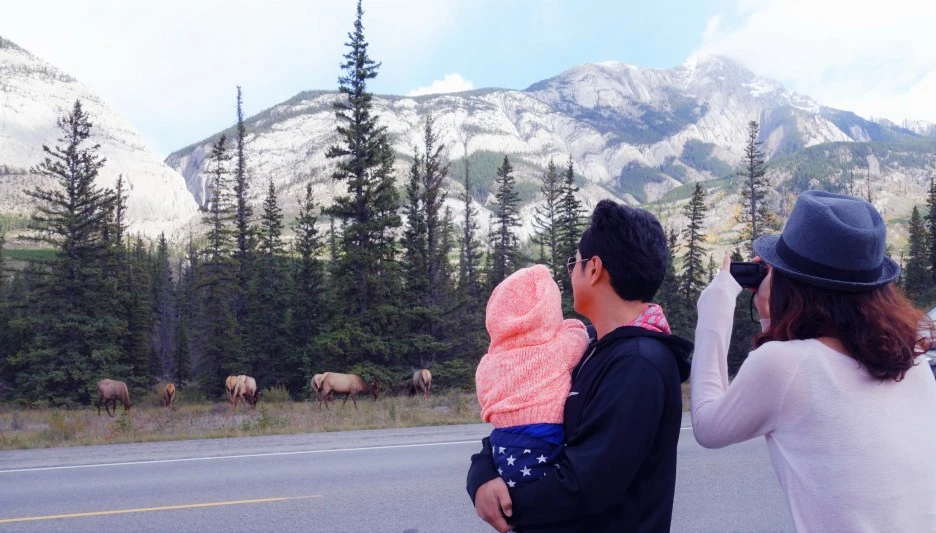 SE-dd4228be-bbee-42be-a02c-f6cd9004e810.jpg?type=w1