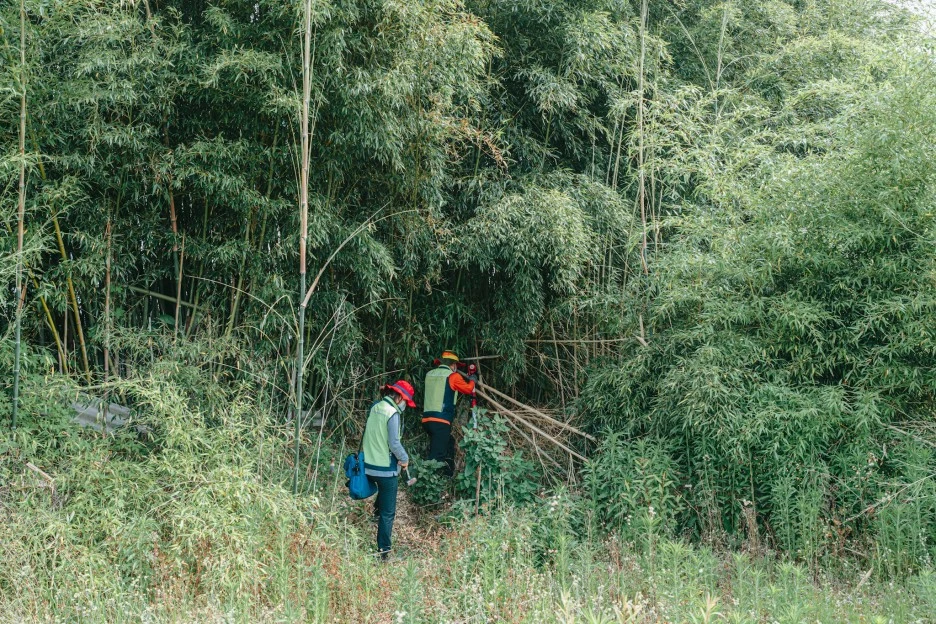 A7R01545.JPG?type=w1