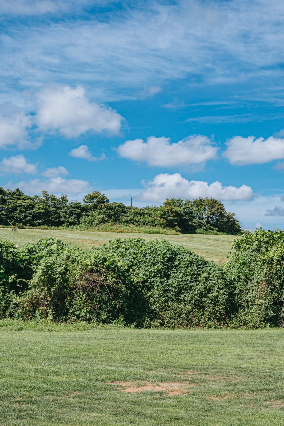 A7R05426.JPG?type=w1