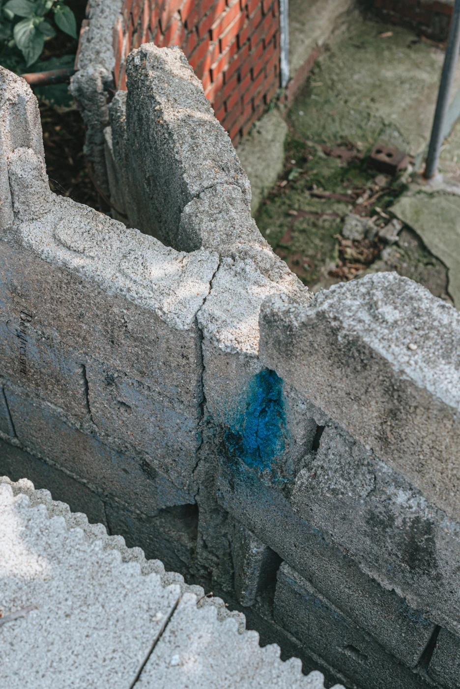 A7R01538.JPG?type=w1