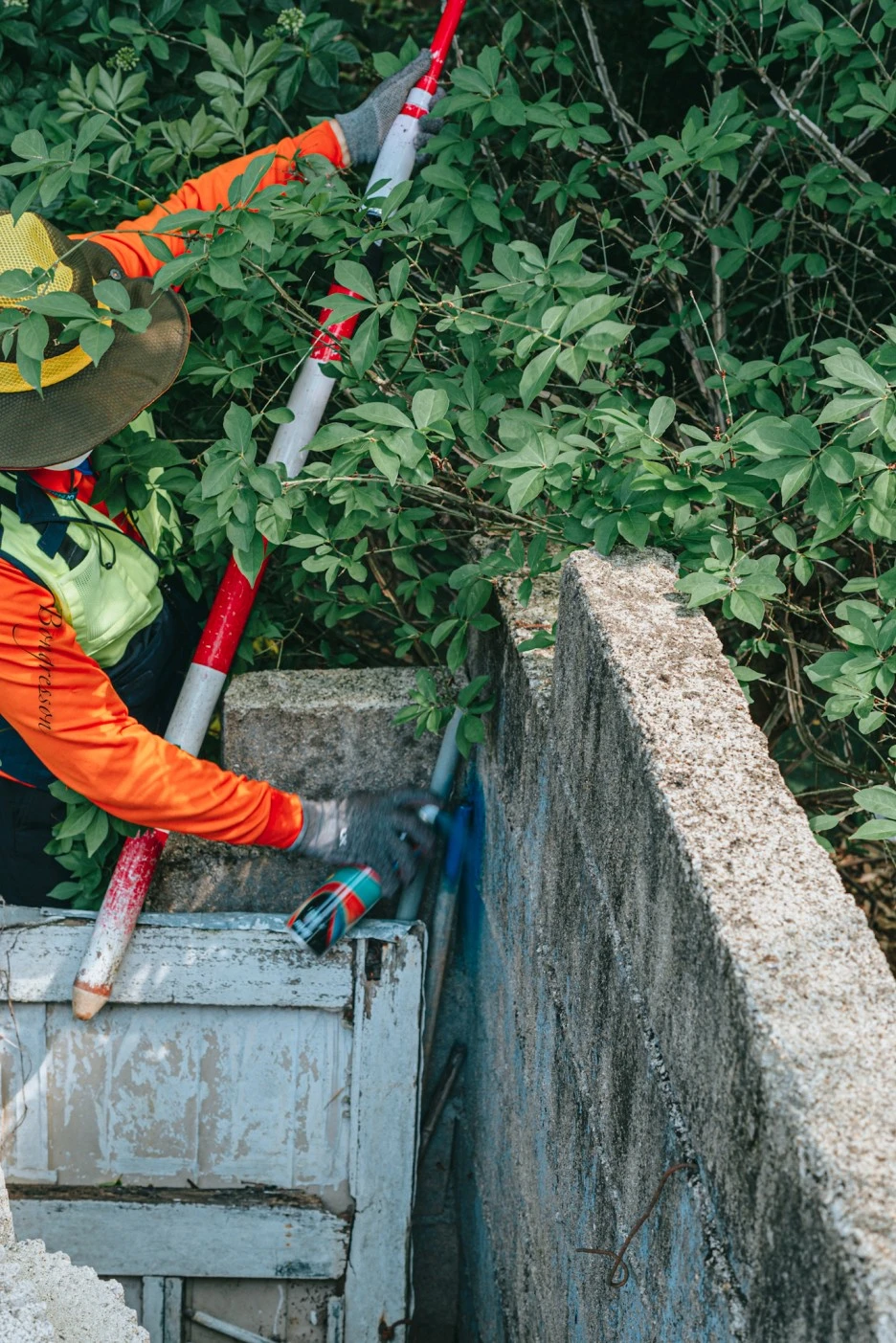 A7R01541.JPG?type=w1