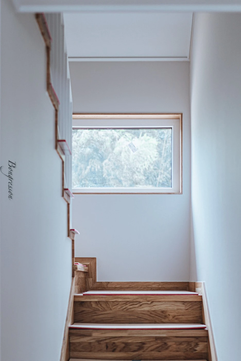 A7R08552.JPG?type=w1