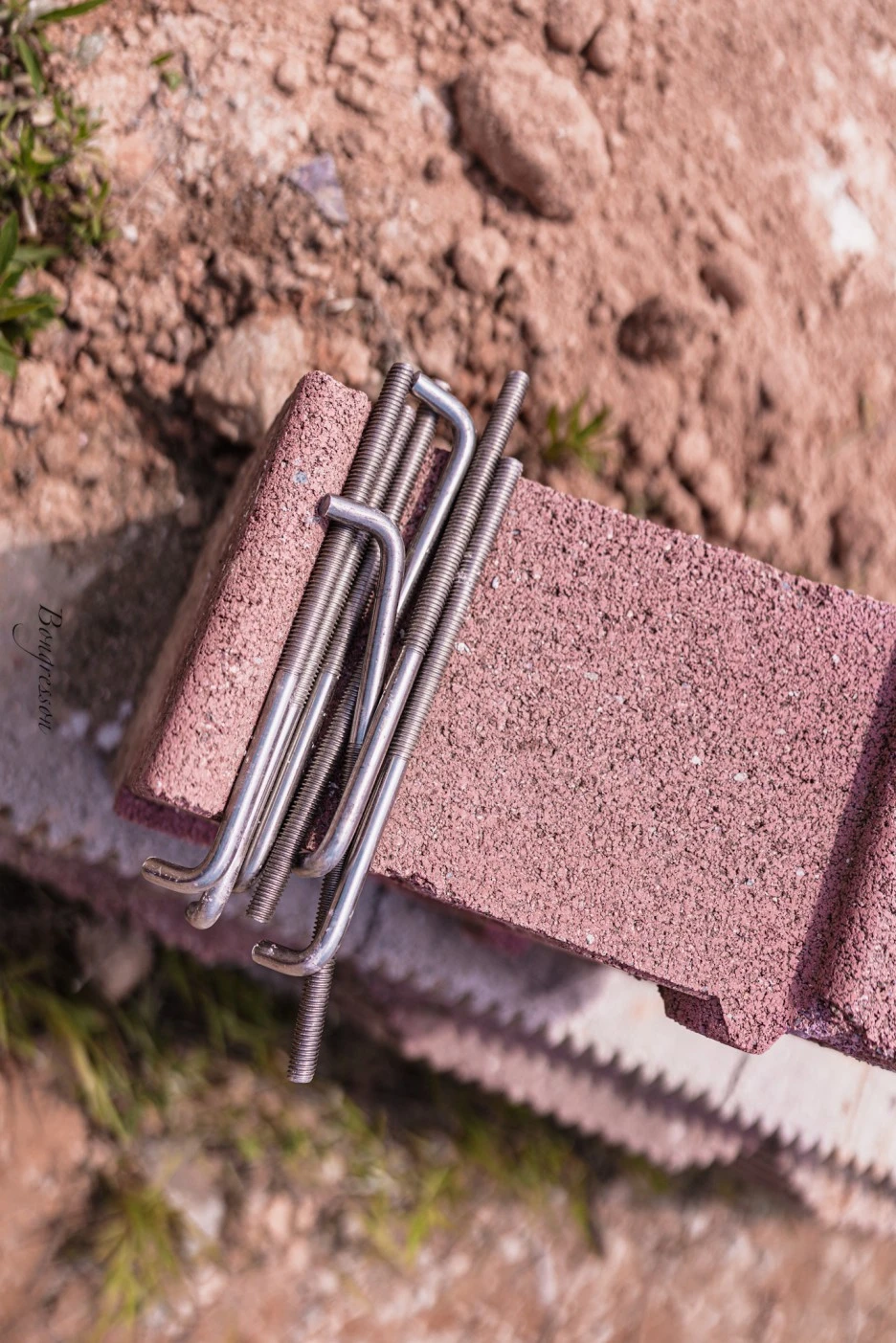 A7R02724.JPG?type=w1