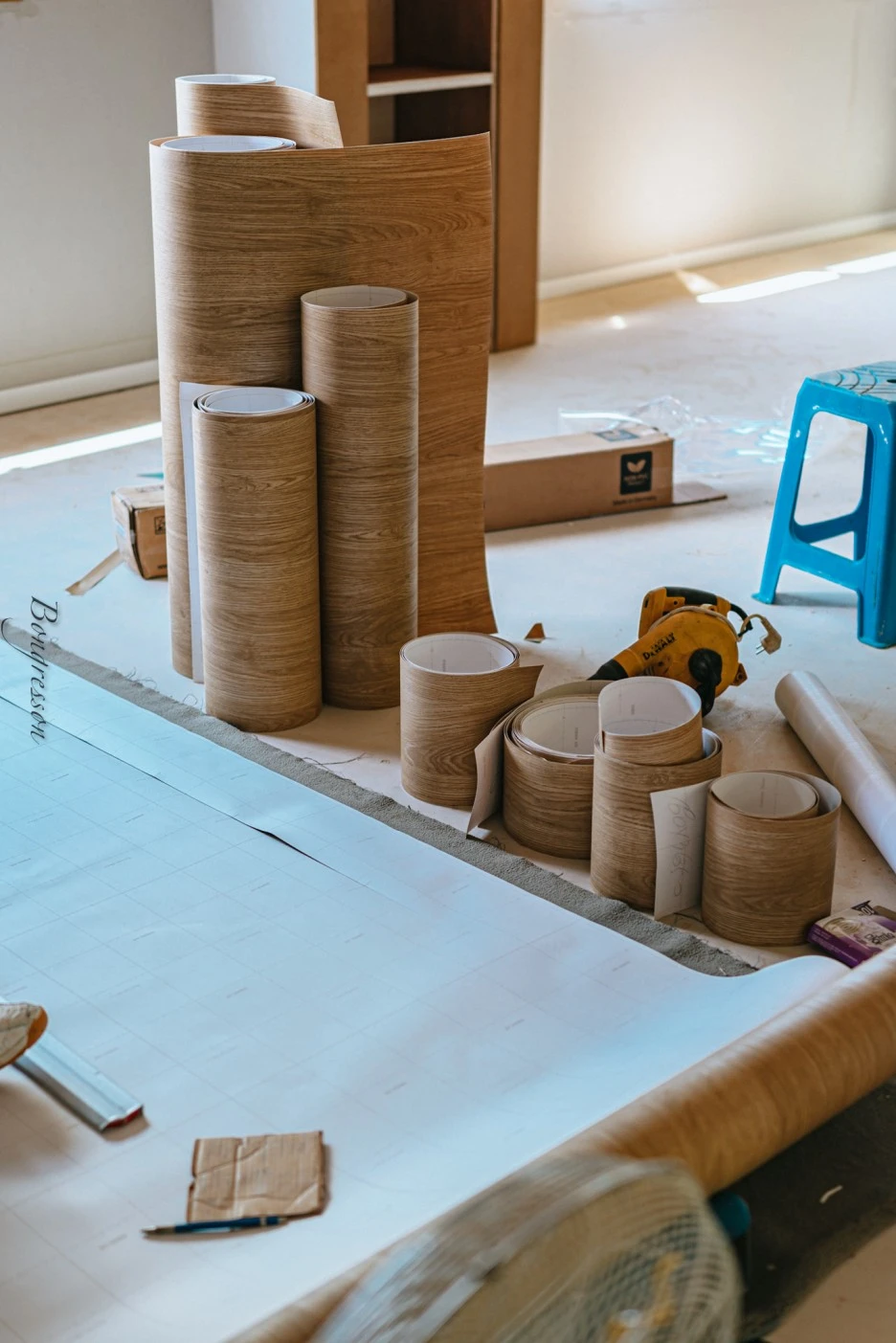 A7R07778.JPG?type=w1