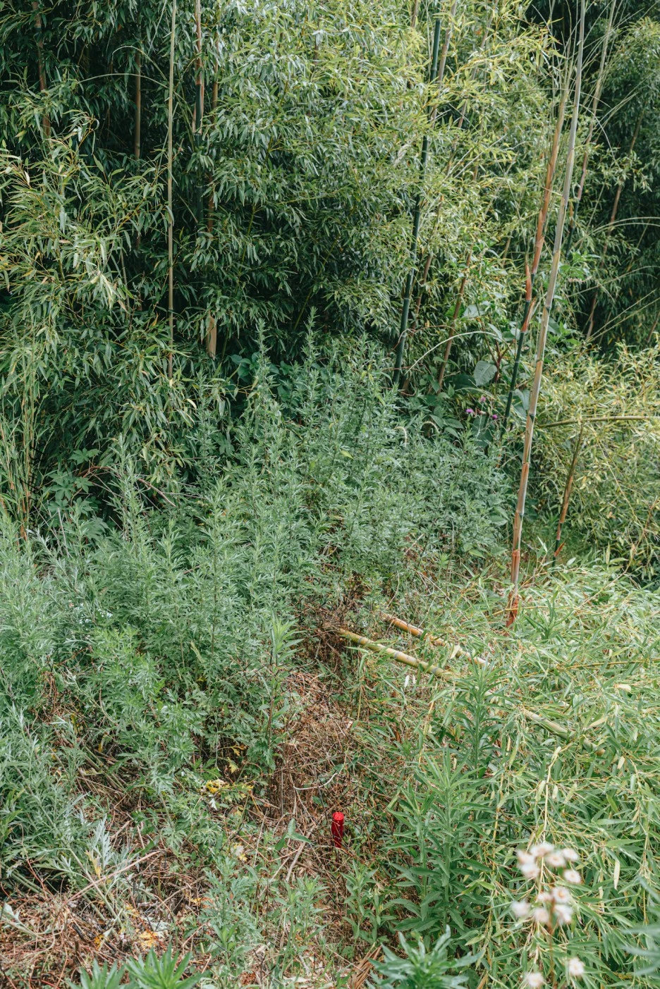 A7R01552.JPG?type=w1