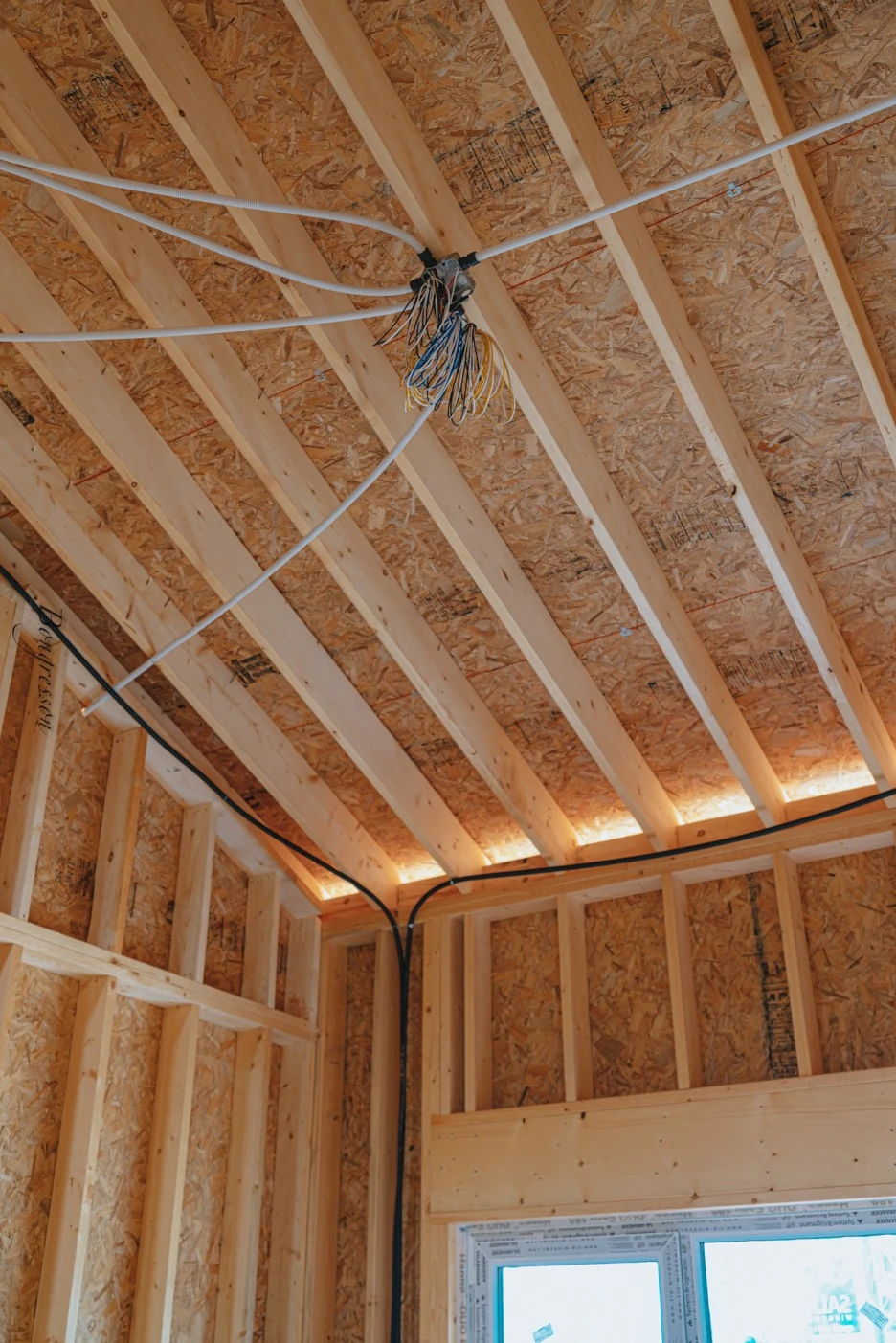 A7R04959.JPG?type=w1