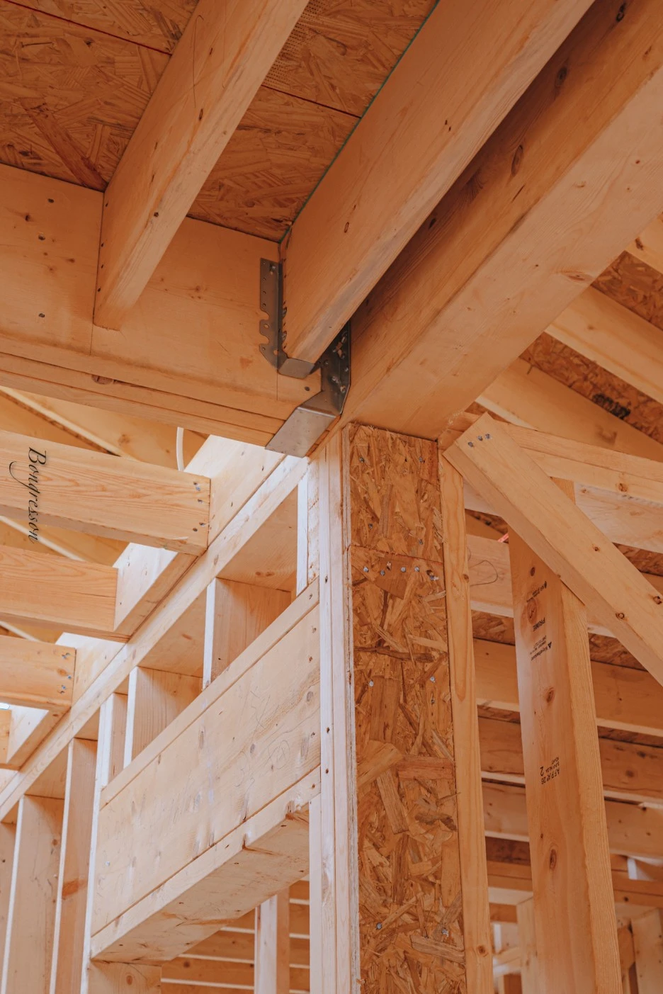 A7R04383.JPG?type=w1