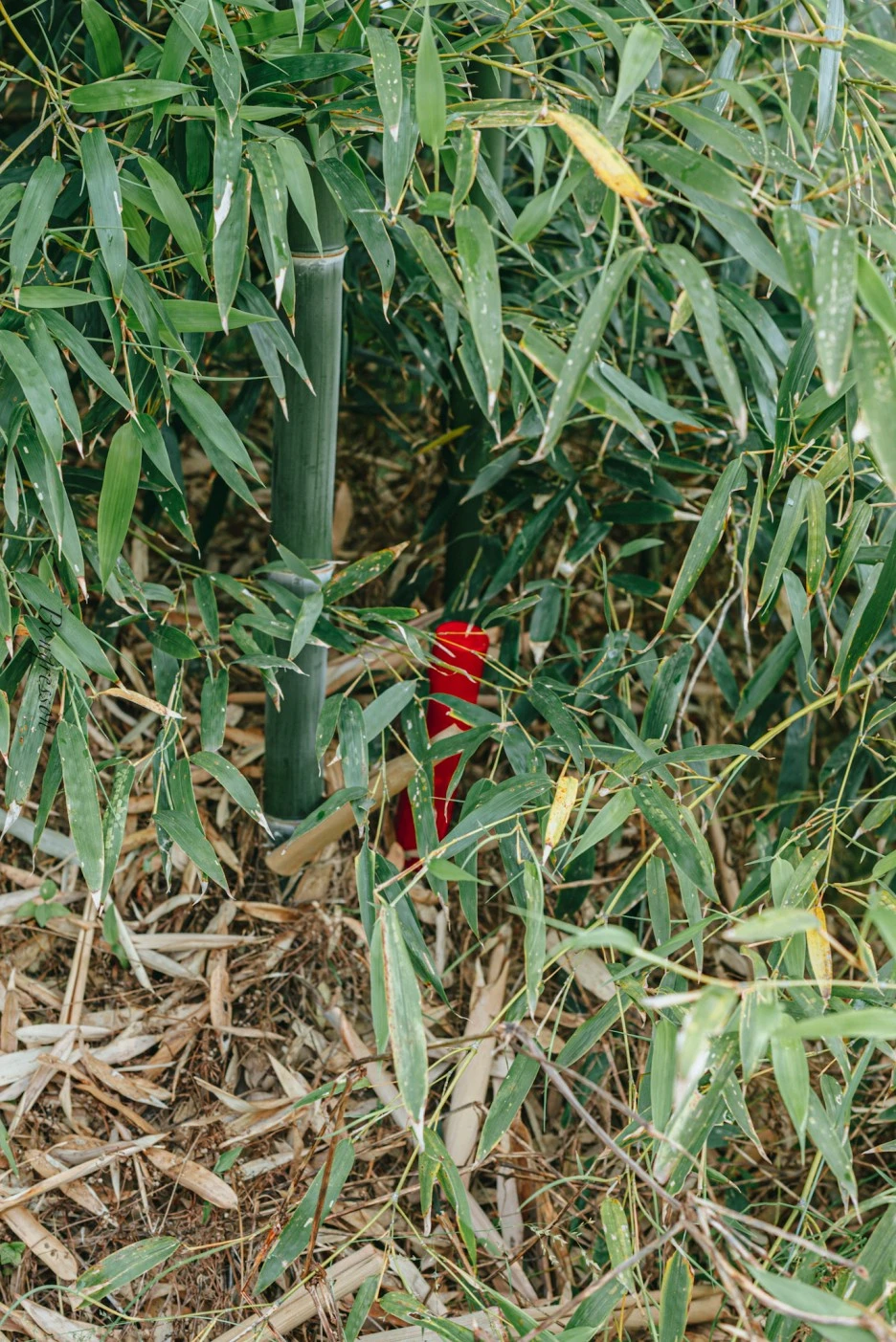 A7R01549.JPG?type=w1