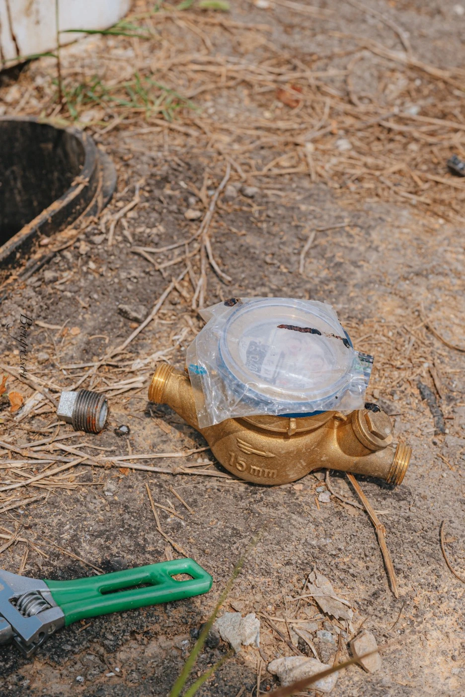 A7R04371.JPG?type=w1