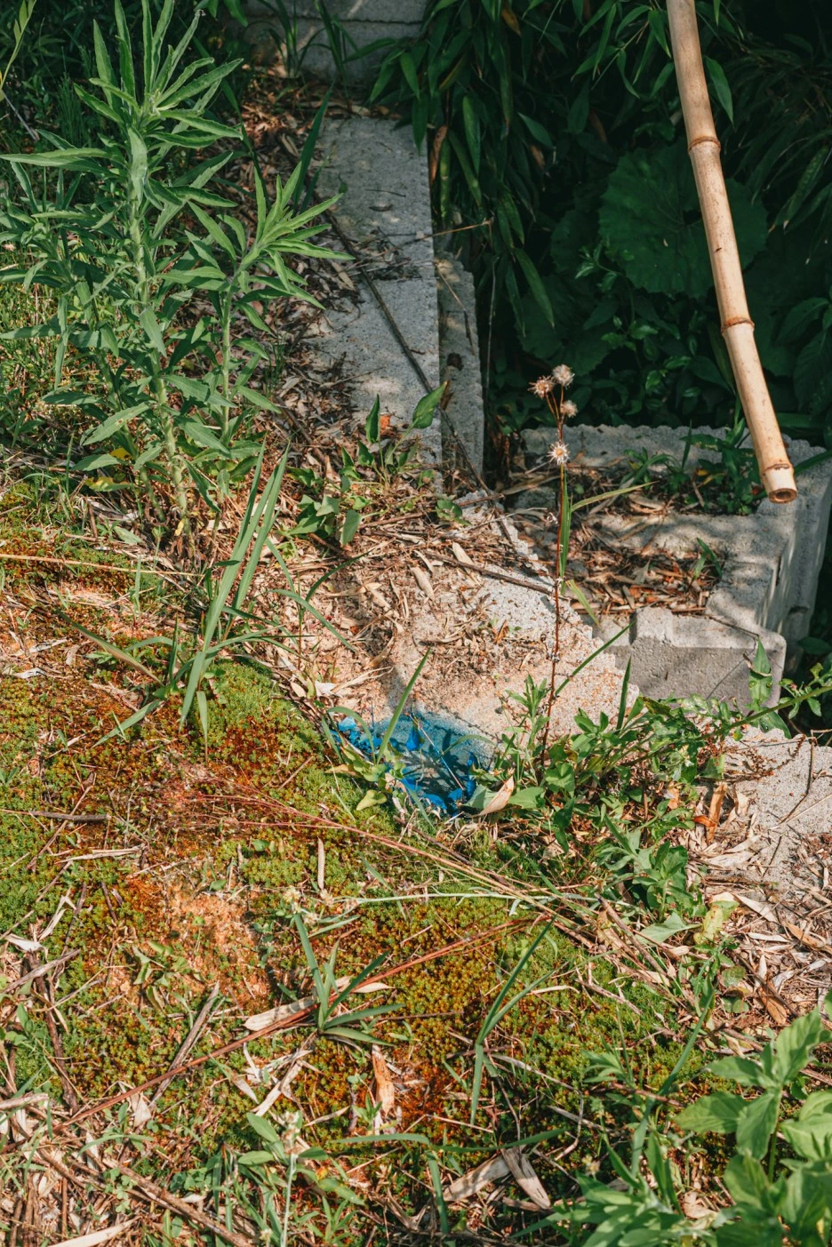 A7R01542.JPG?type=w1