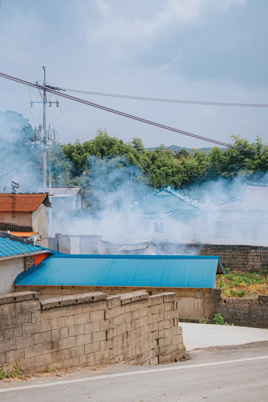 A7R04412.JPG?type=w1