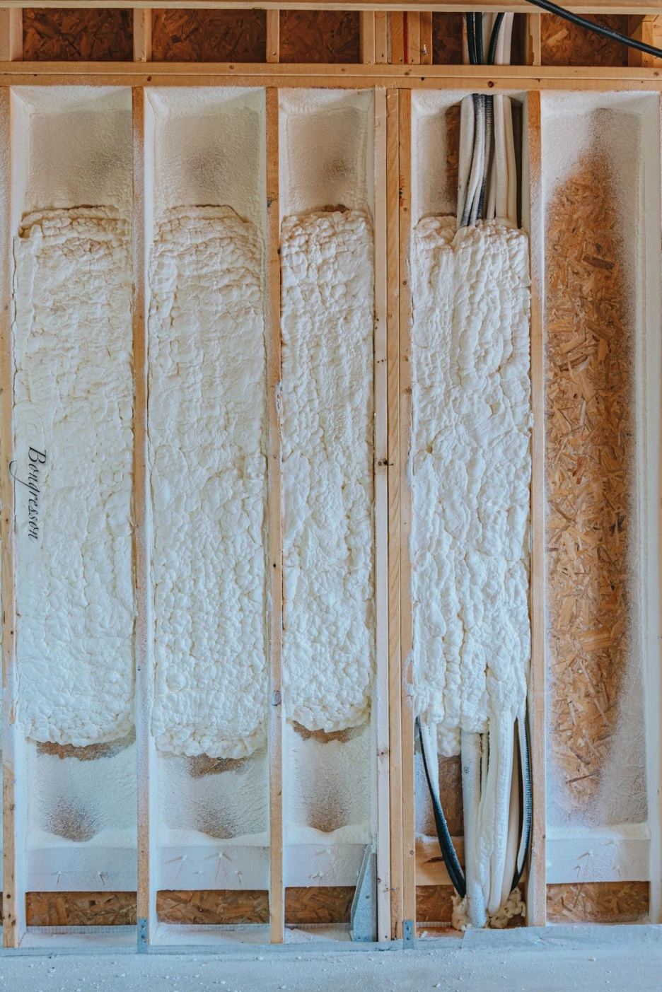 A7R06017.JPG?type=w1