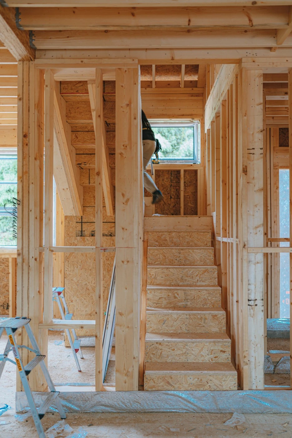 A7R04712.JPG?type=w1