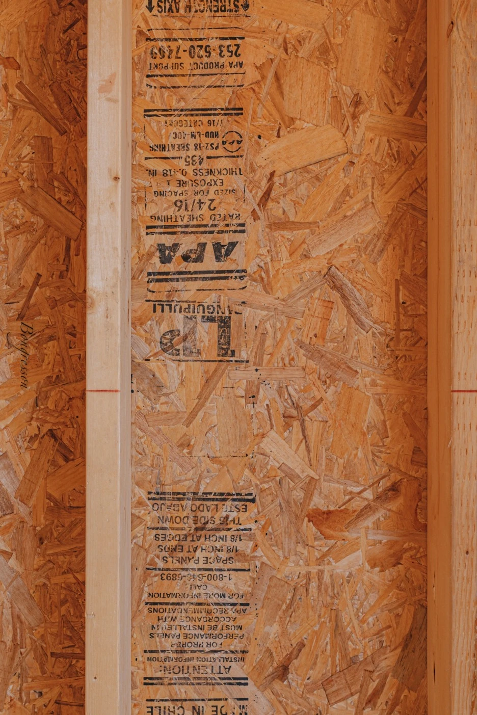 A7R04401.JPG?type=w1