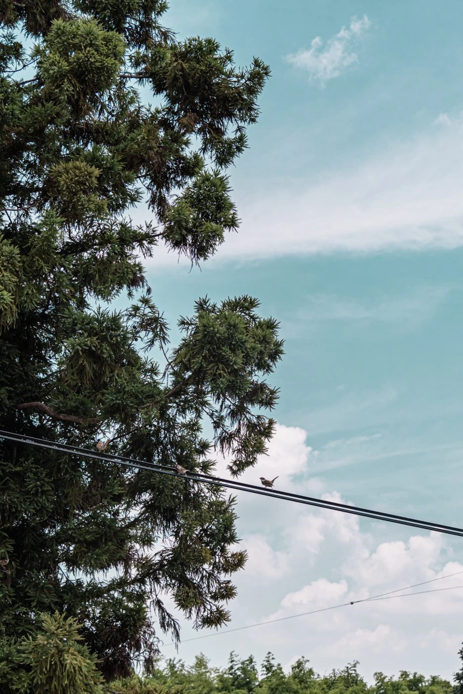 A7R03202.JPG?type=w1