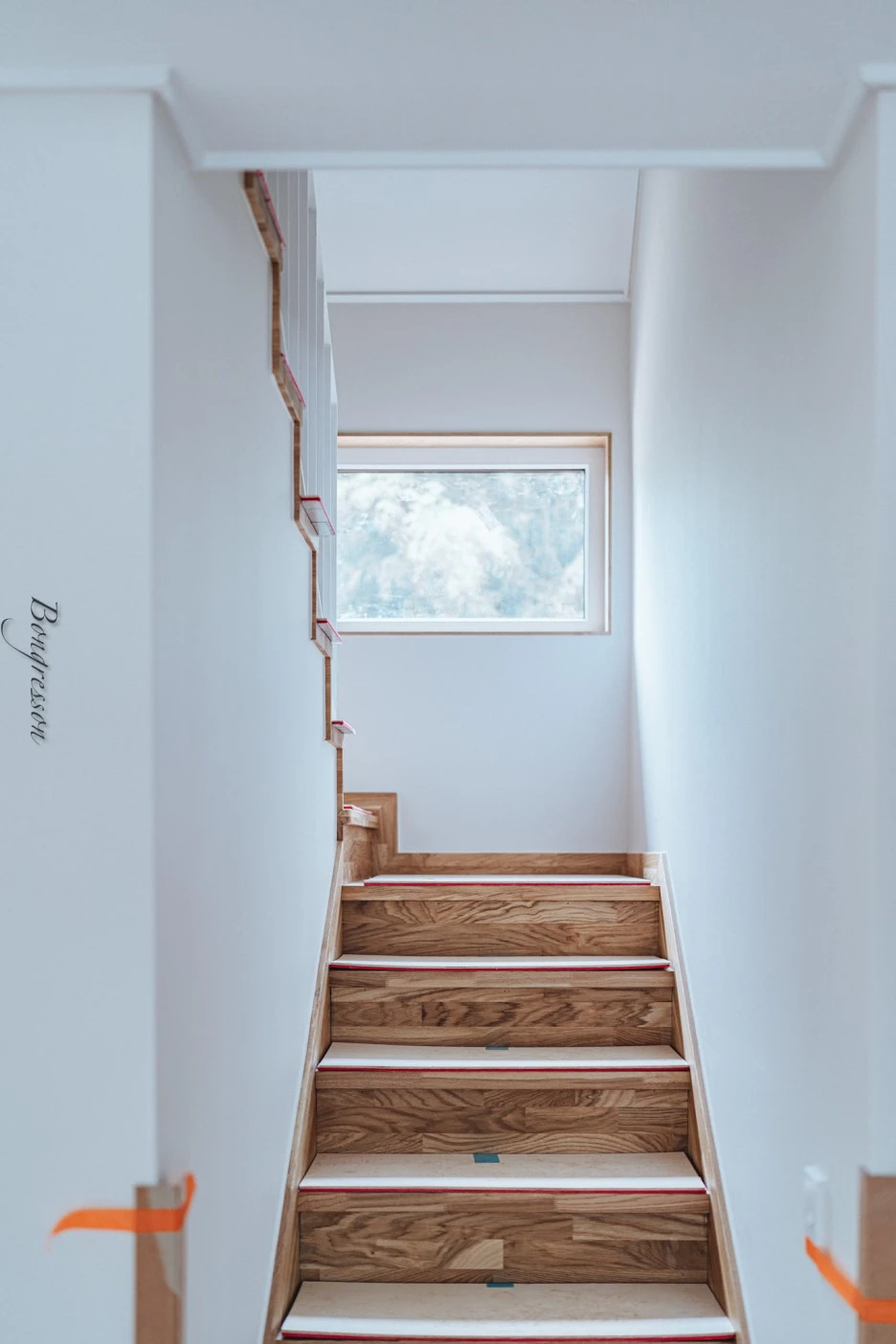 A7R08550.JPG?type=w1