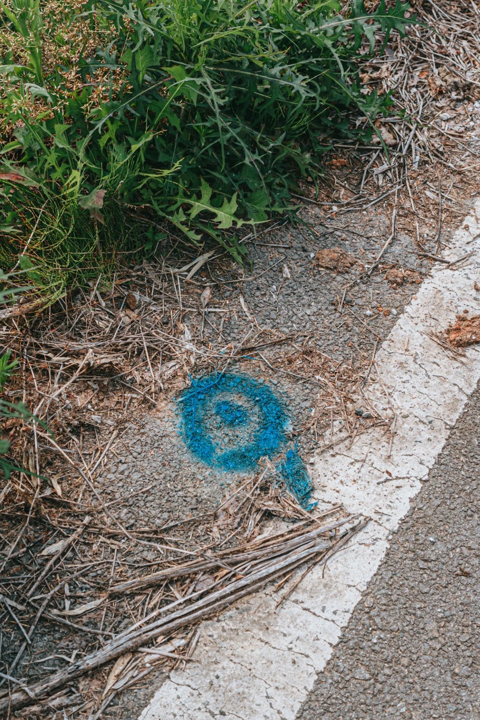 A7R01554.JPG?type=w1