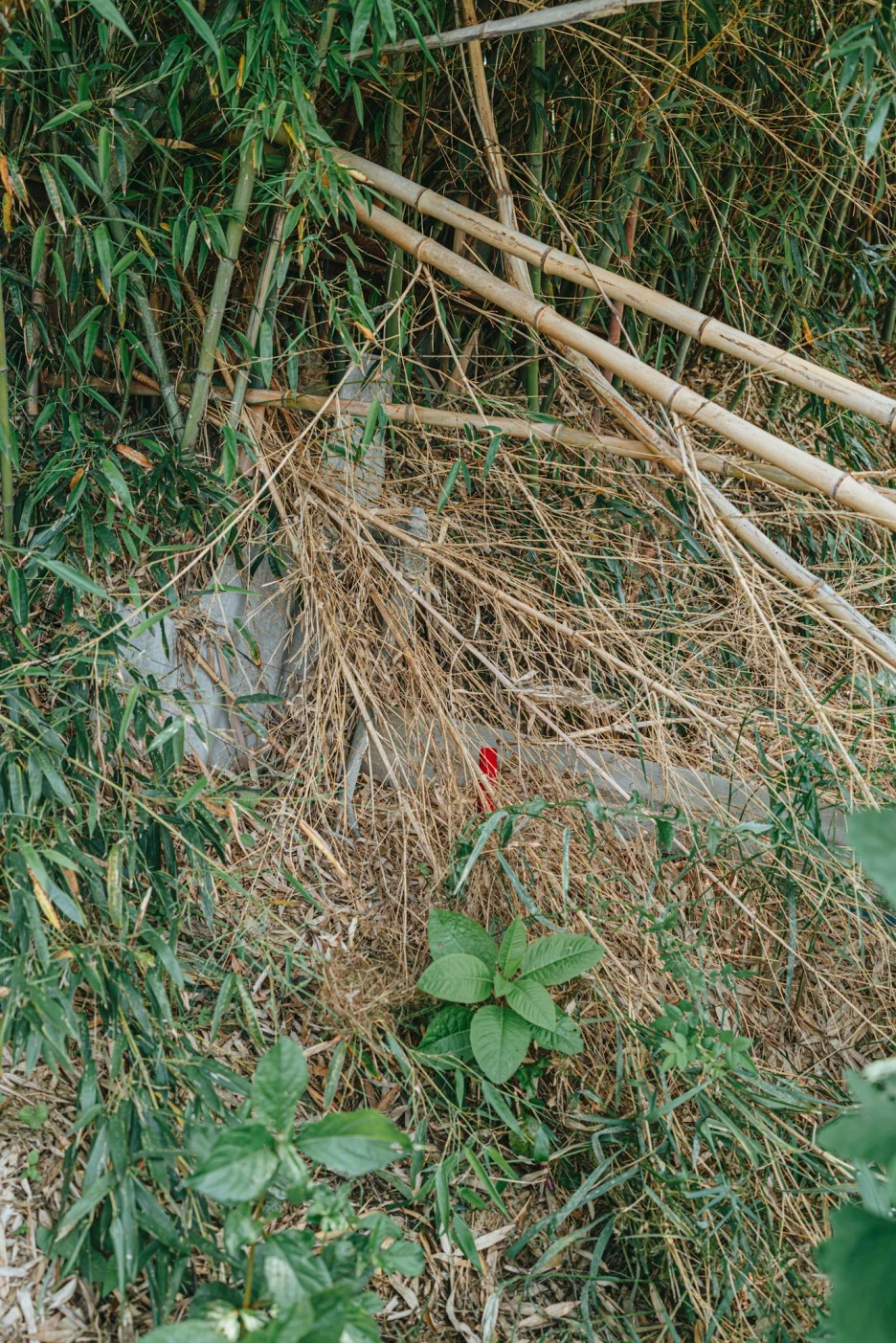 A7R01546.JPG?type=w1