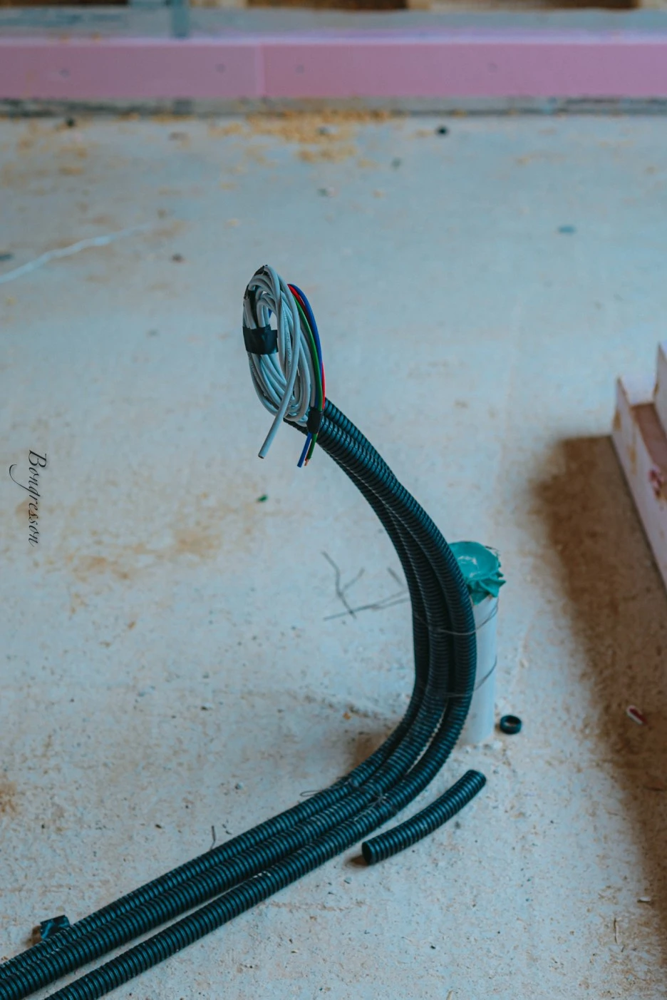 A7R04957.JPG?type=w1