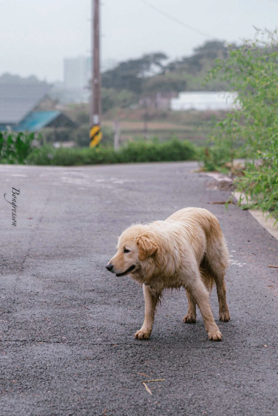 A7R02481.JPG?type=w1