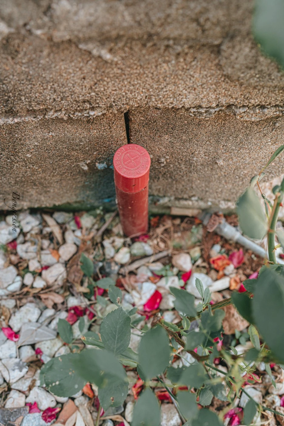 A7R01534.JPG?type=w1