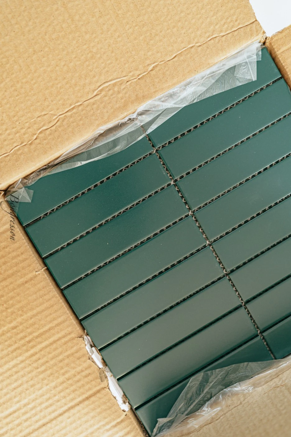 A7R07976.JPG?type=w1