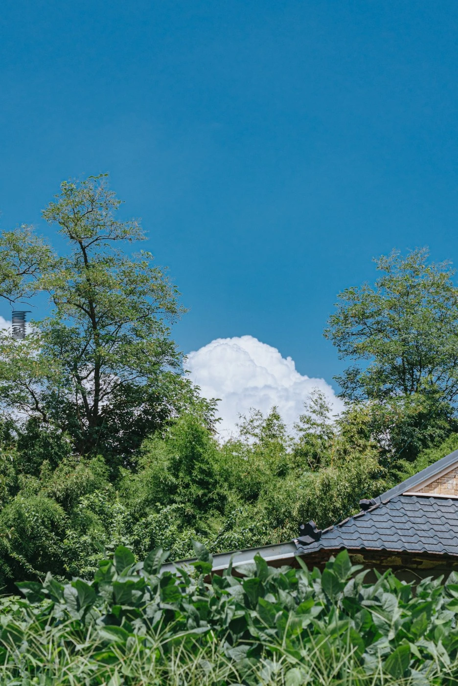 A7R07378.JPG?type=w1