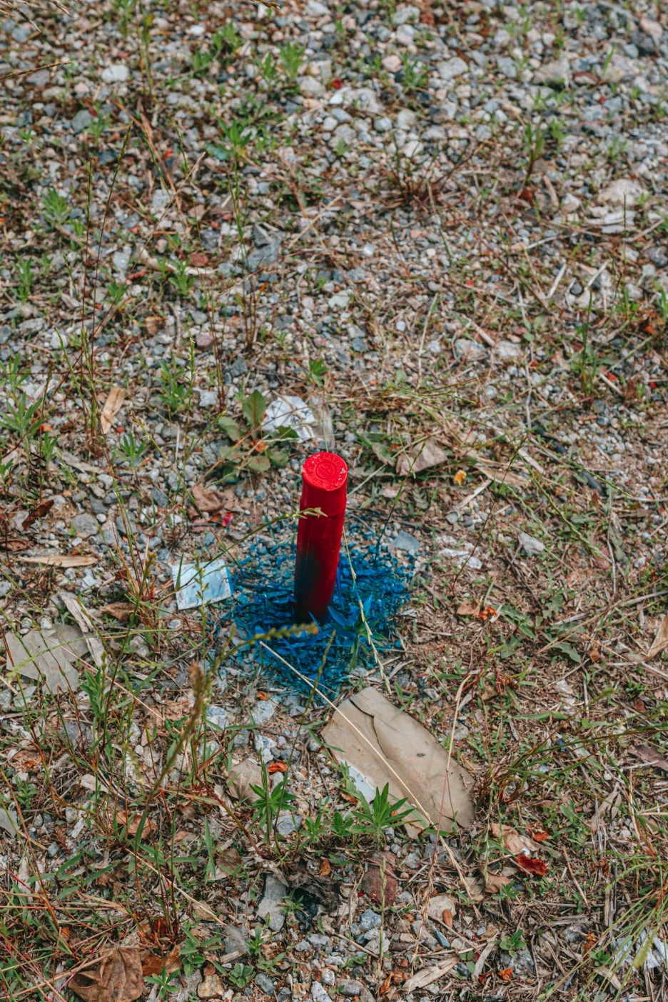 A7R01559.JPG?type=w1