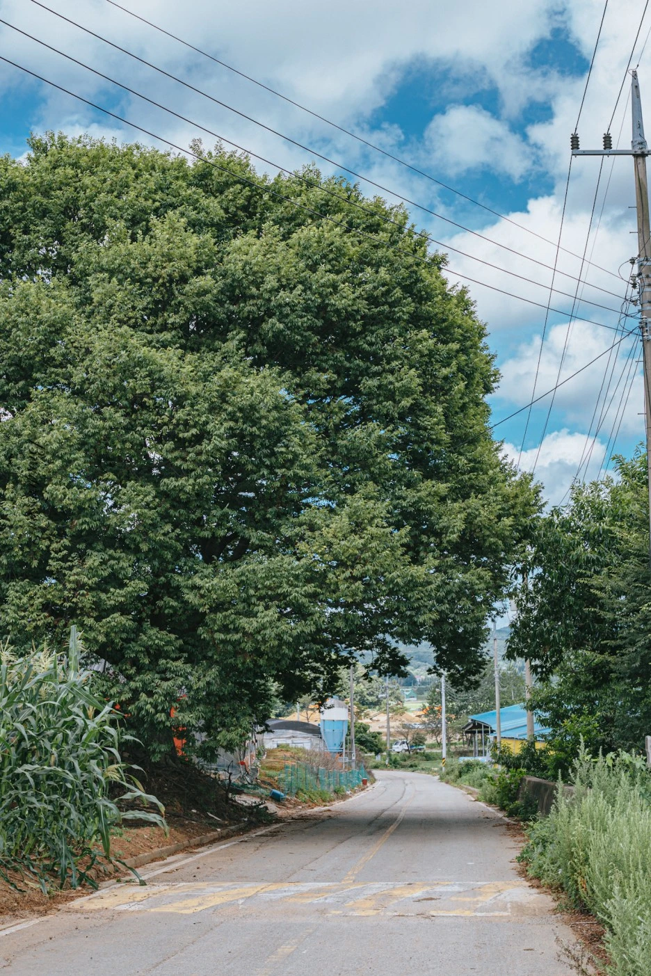 A7R05457.JPG?type=w1