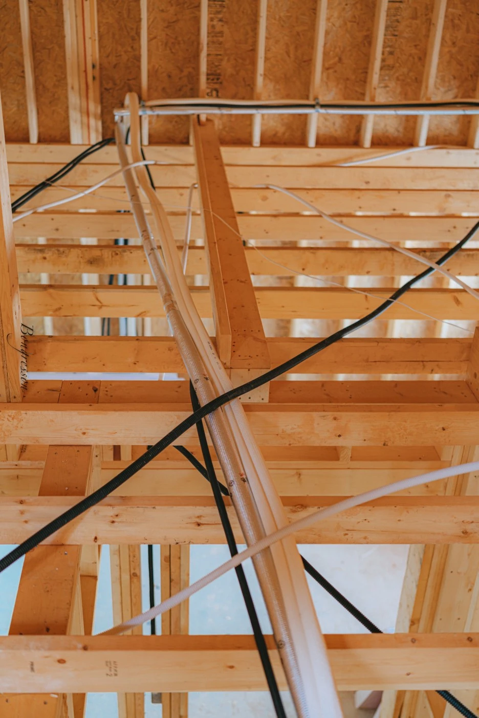 A7R04966.JPG?type=w1