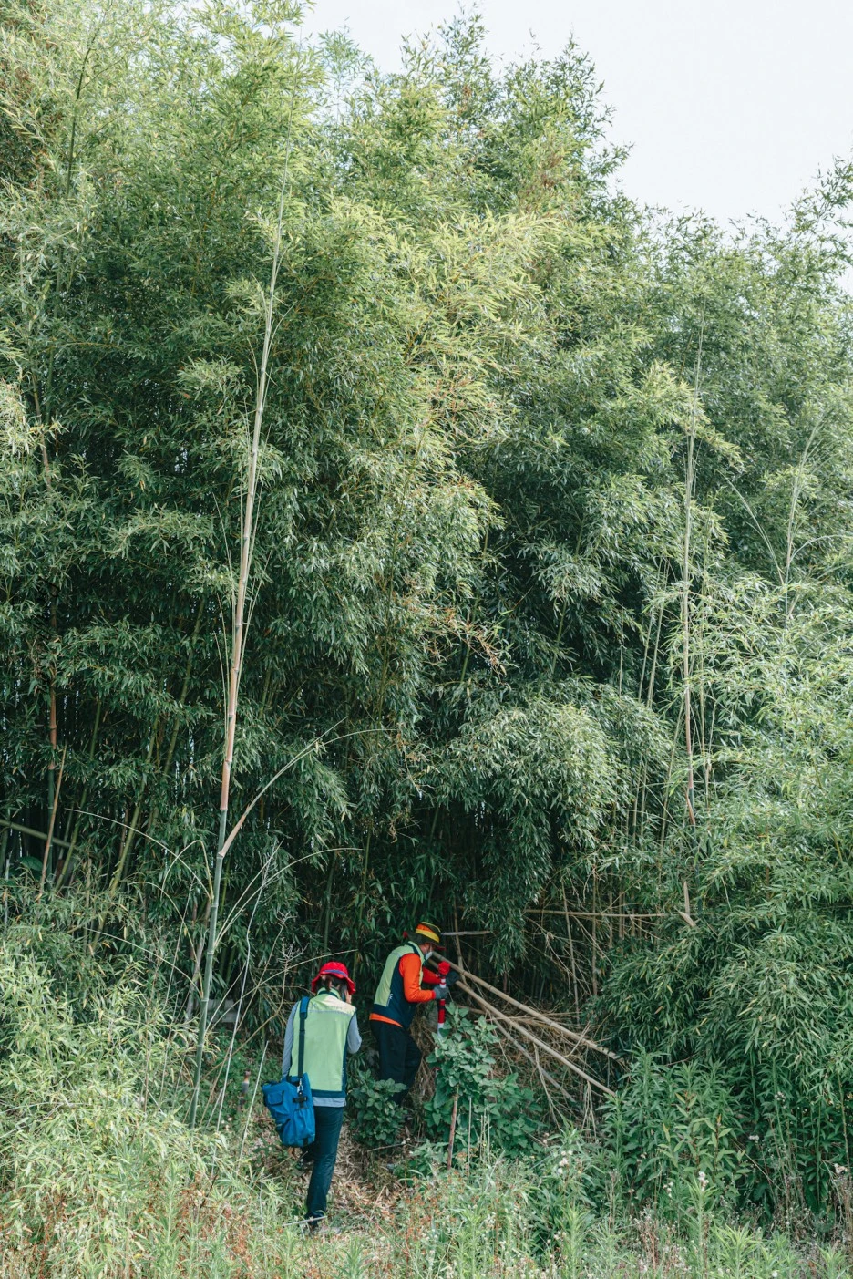 A7R01543.JPG?type=w1