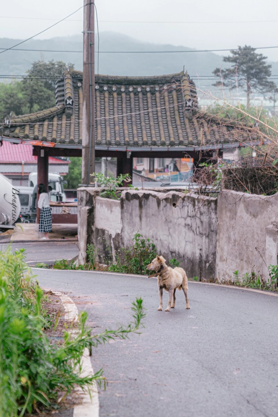 A7R02482.JPG?type=w1