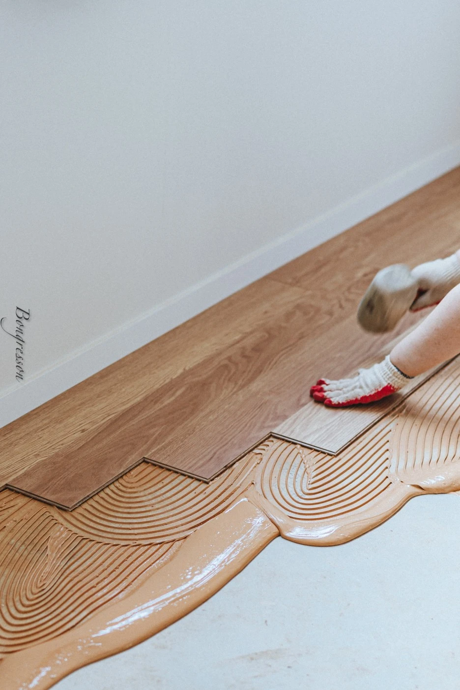 A7R08885.JPG?type=w1