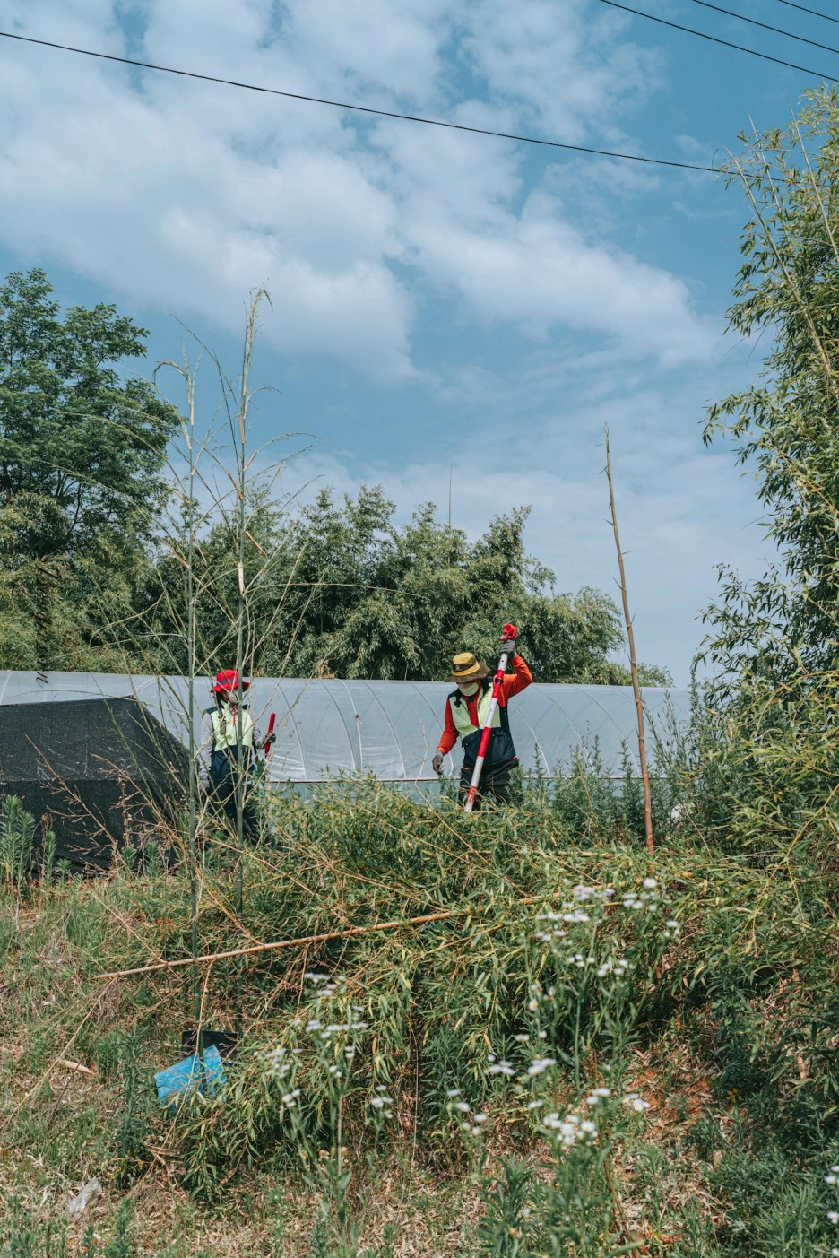 A7R01550.JPG?type=w1