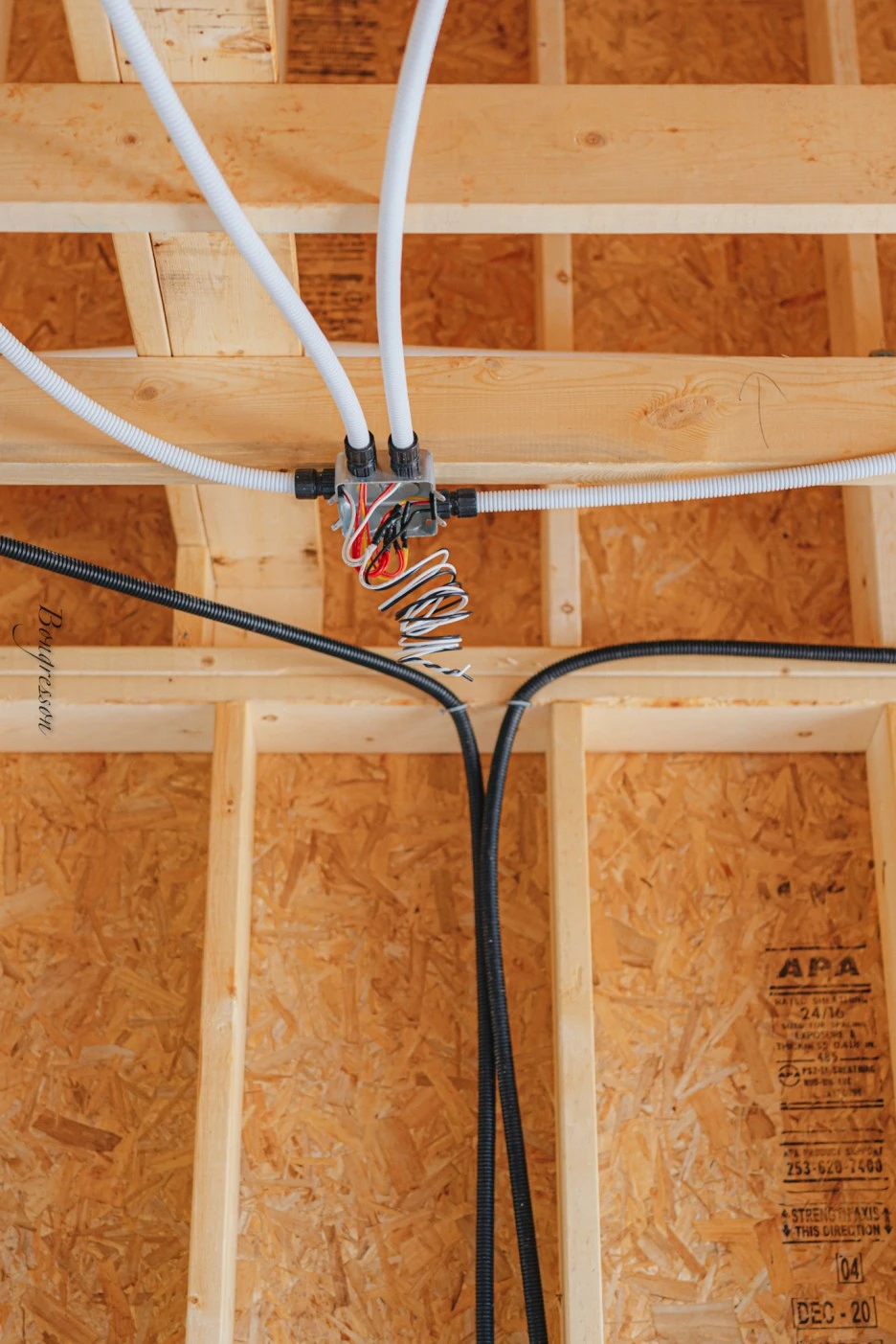 A7R04941.JPG?type=w1