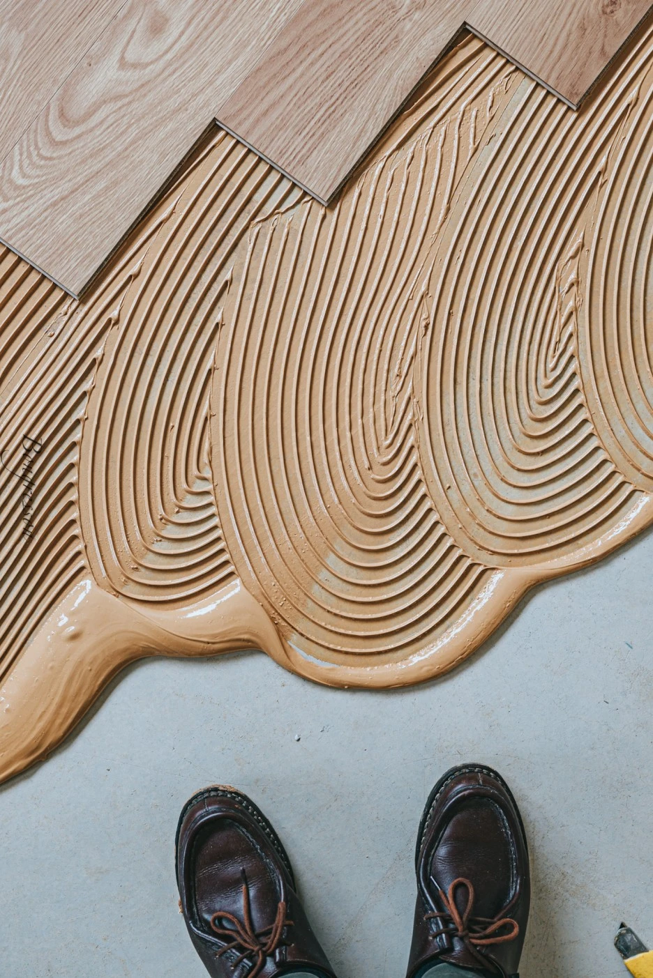 A7R08899.JPG?type=w1