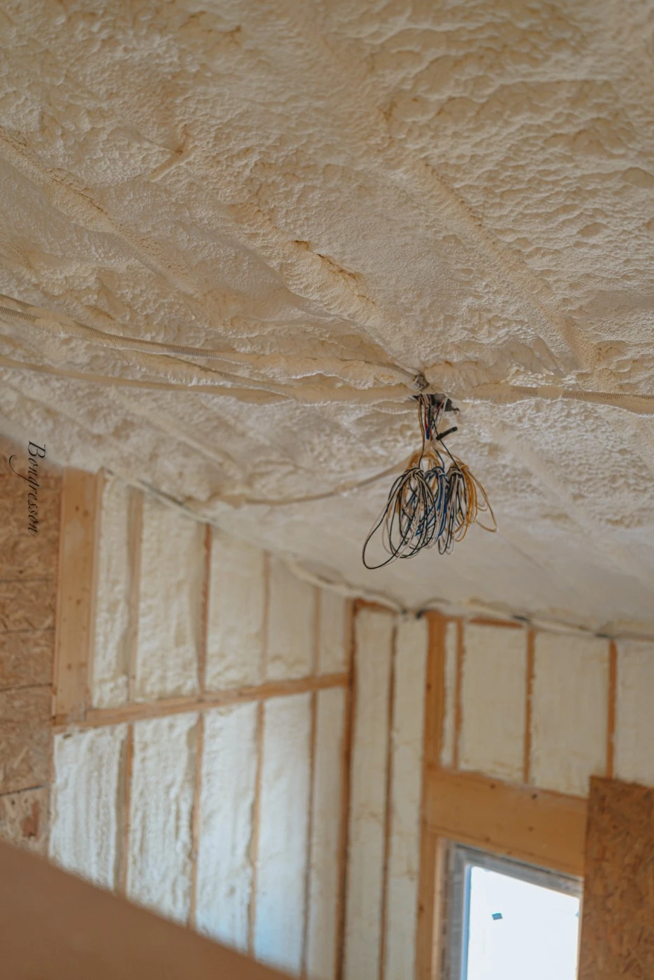 A7R06152.JPG?type=w1